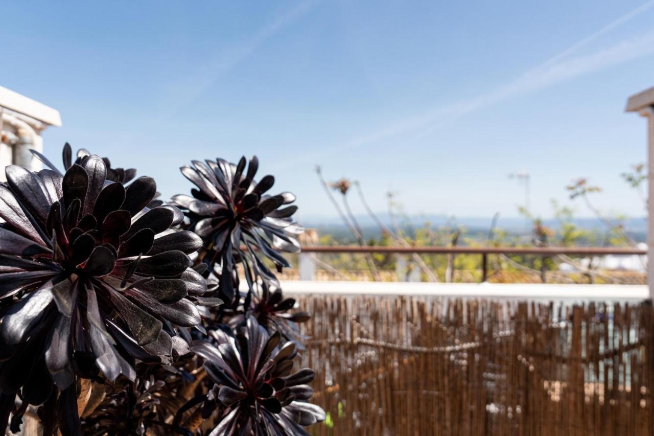 Apartmán El Balcon De Vejer Vejer de la Frontera Exteriér fotografie